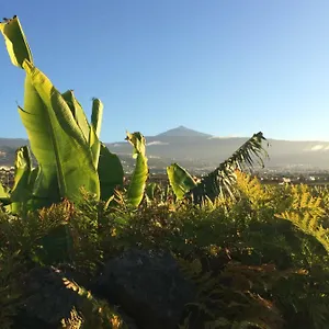 La Plantacion _agroturismo Hébergement de vacances
